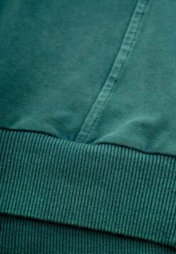 RECRUIT SWEAT WASHED PINE 11 RECRUIT SWEAT WASHED PINE -Religion Clothing 12TREW24 WASHED PINE 2 58f54e9a 19e8 4c37 8cb3 72cbdc4ab3e7