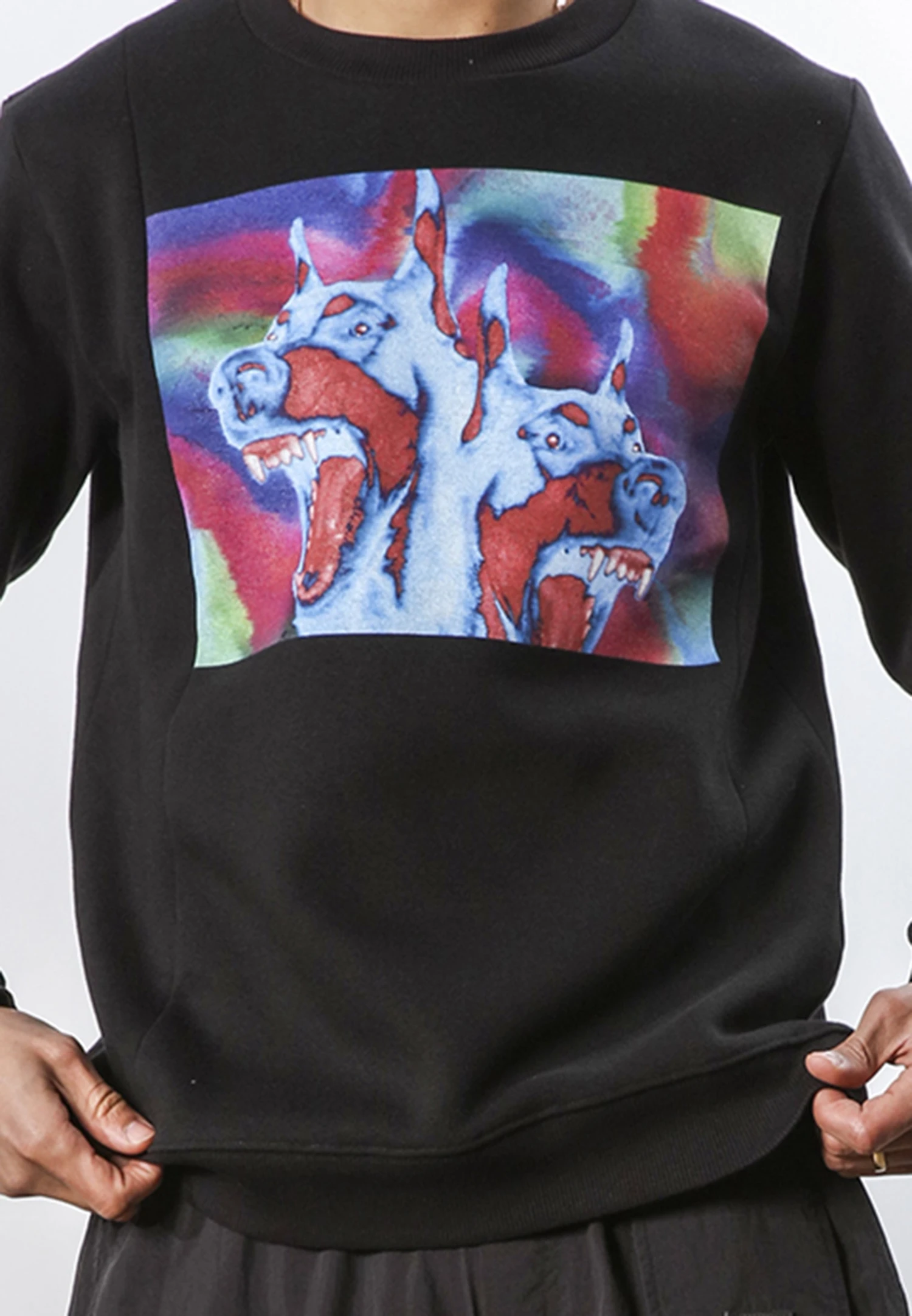 DOBERMAN SWEAT BLACK 5 DOBERMAN SWEAT BLACK - Image 5