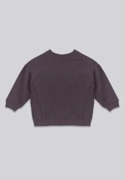 Kids HOPEY GIRLS OVERSIZED SWEATSHIRT MAUVE 11 Kids HOPEY GIRLS OVERSIZED SWEATSHIRT MAUVE -Religion Clothing Untitled 1 0001s 0015 0 0004 Layer 35