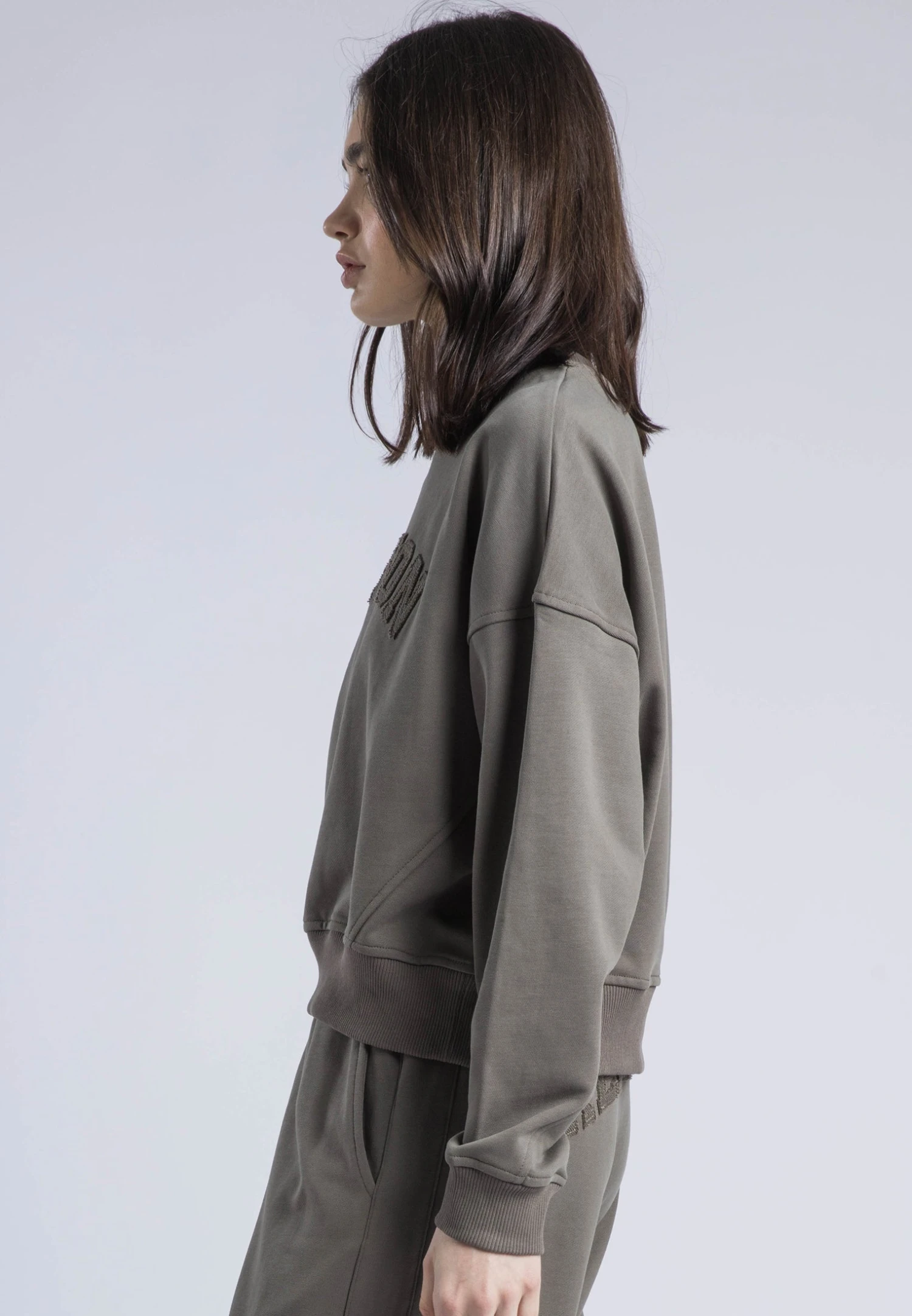 APPLIQUE BATWING SWEAT BRINDLE 5 APPLIQUE BATWING SWEAT BRINDLE - Image 5