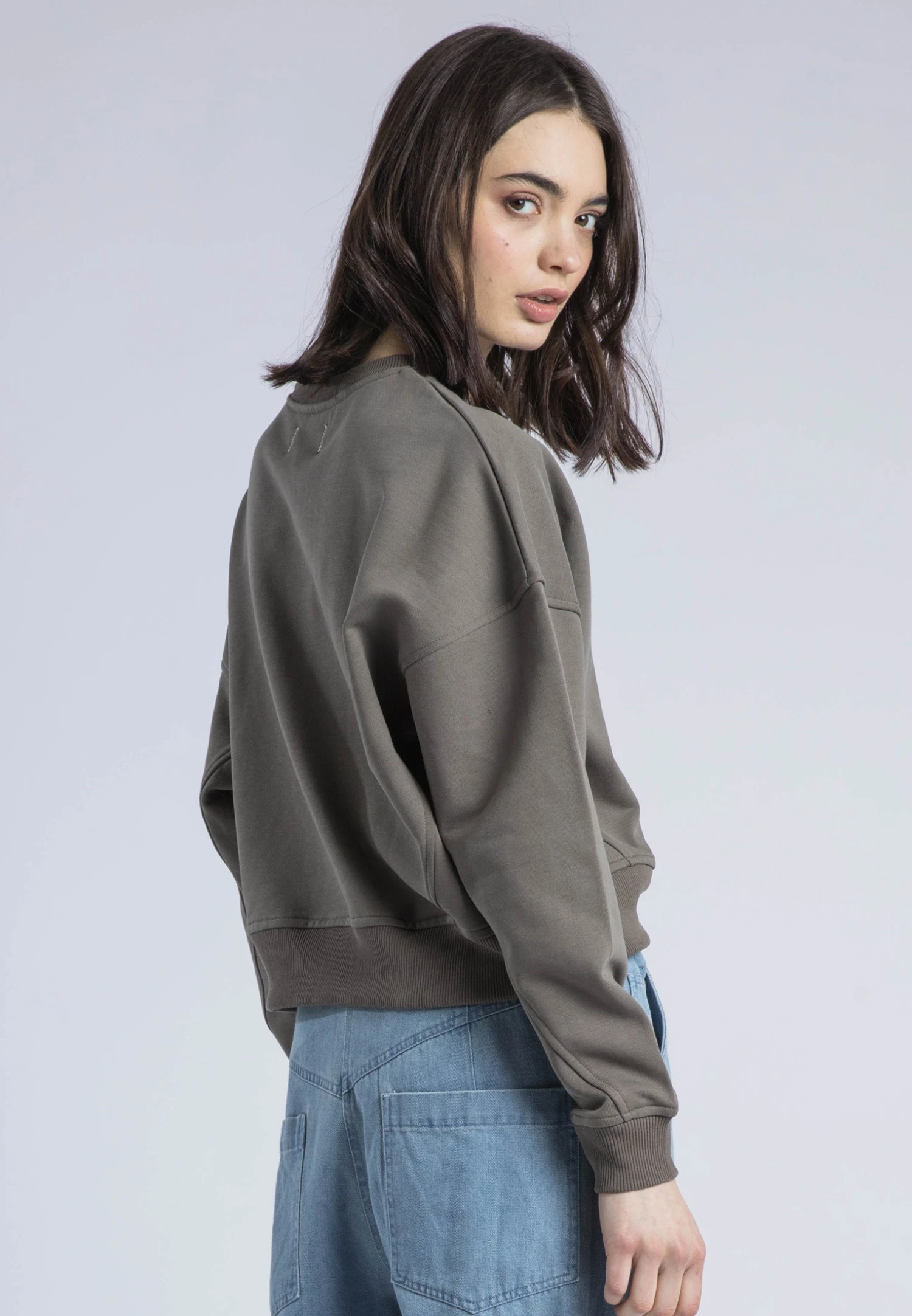 EMBROIDERY BATWING SWEAT BRINDLE 3 EMBROIDERY BATWING SWEAT BRINDLE - Image 3